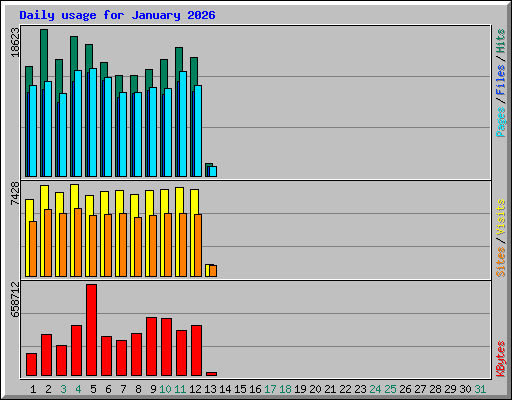 Daily usage for January 2026