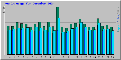 Hourly usage for December 2024