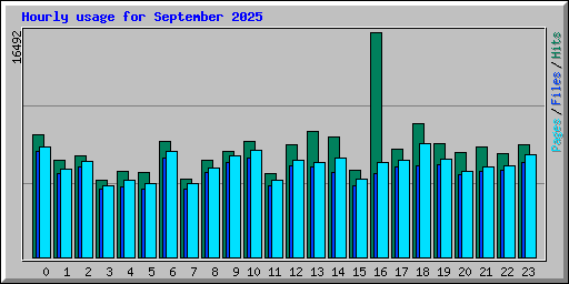 Hourly usage for September 2025