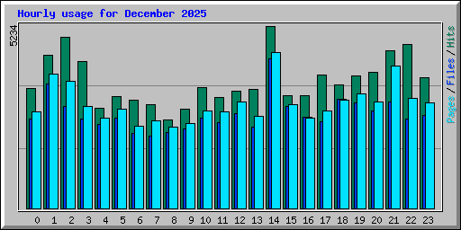 Hourly usage for December 2025