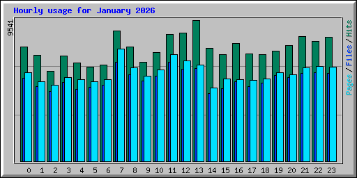 Hourly usage for January 2026
