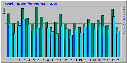 Hourly usage for February 2026