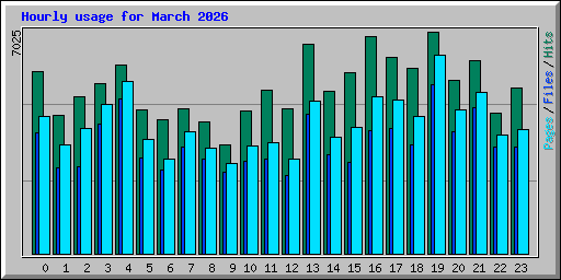 Hourly usage for March 2026