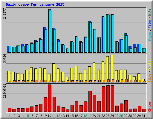 Daily usage for January 2025