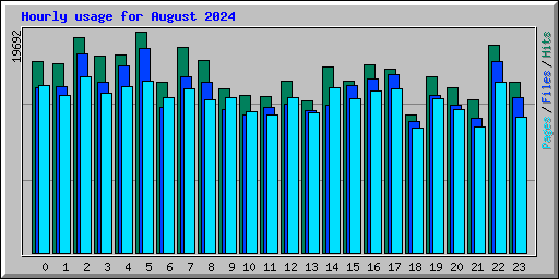 Hourly usage for August 2024