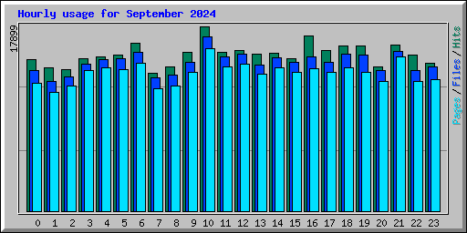 Hourly usage for September 2024