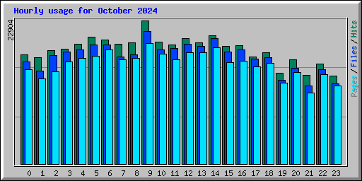 Hourly usage for October 2024