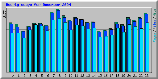 Hourly usage for December 2024