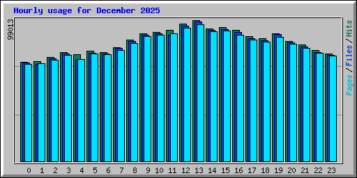 Hourly usage for December 2025