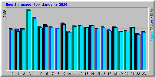 Hourly usage for January 2026